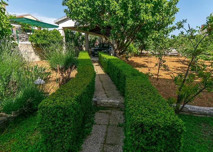 Bakovic * روغوزنيكا